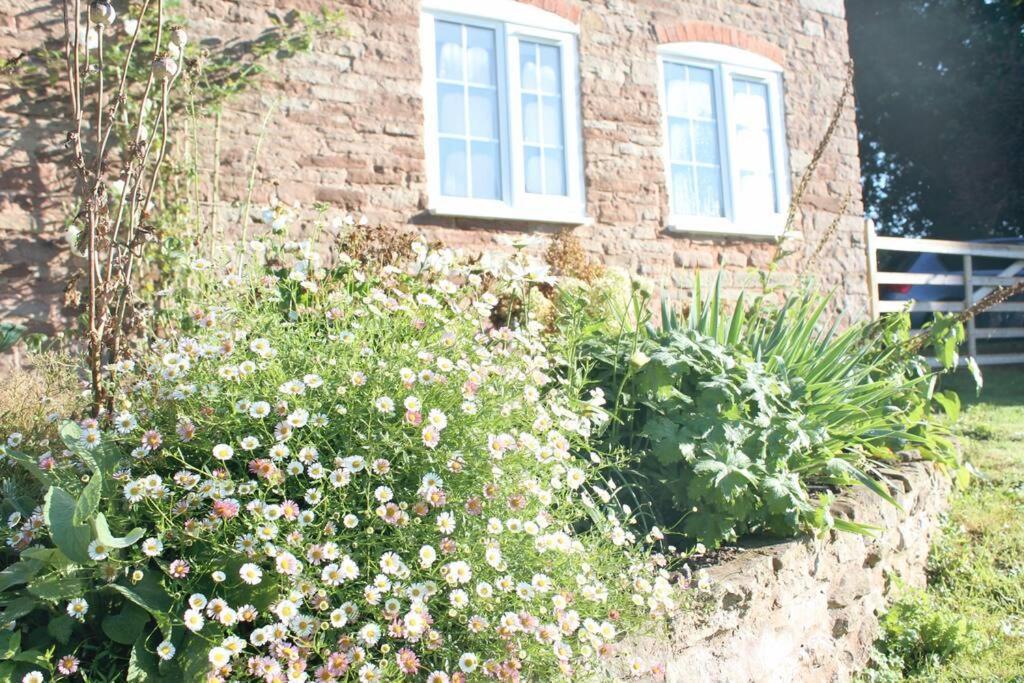 Pump - Cosy Herefordshire *